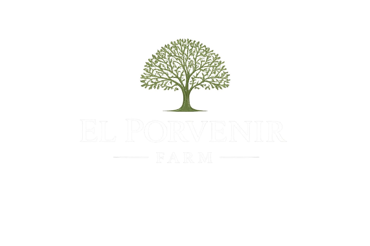 El Porvenir Farm